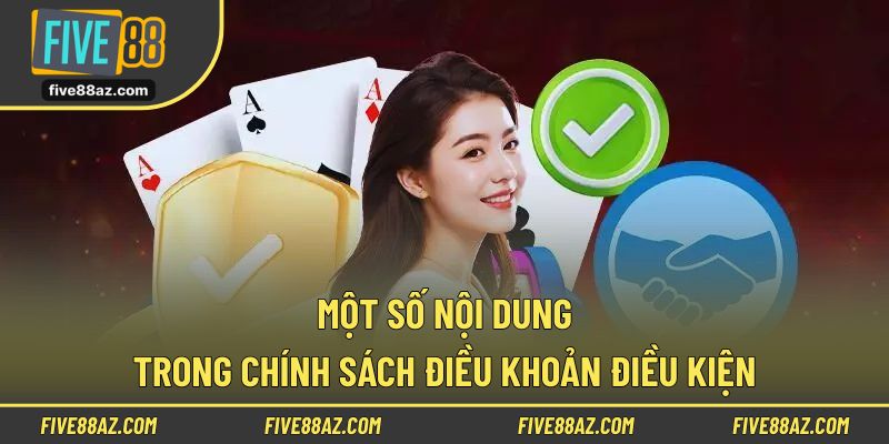 Một số nội dung trong chính sách điều khoản điều kiện
